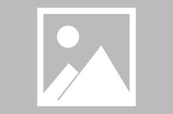 免费人成A片在线观看网站 MBA智库免费公司网站