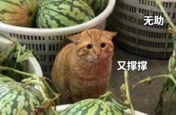 今日吃瓜网92,揭秘娱乐圈最新热点事件