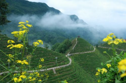 镇巴网红地,揭秘这座山城的魅力角落