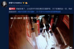 被施暴网红,一位网红的生存纪实